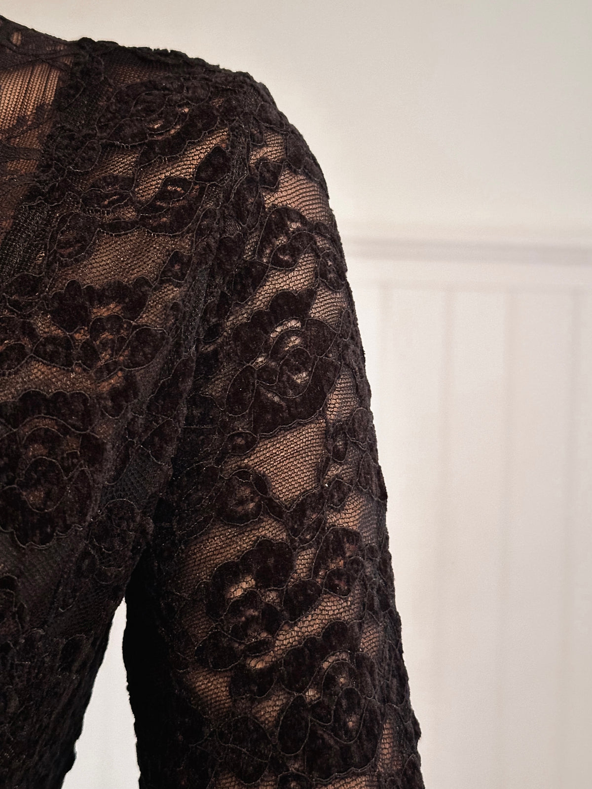 Midnight Velvet Body